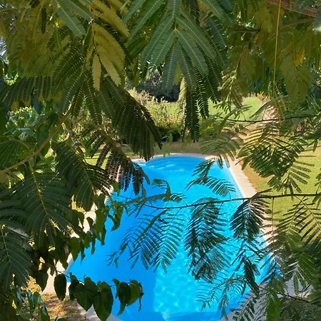 Higueras Y Olivos * Канделеда