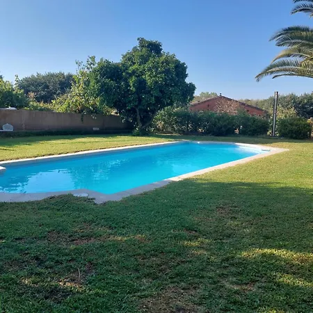 Higueras Y Olivos * Candeleda