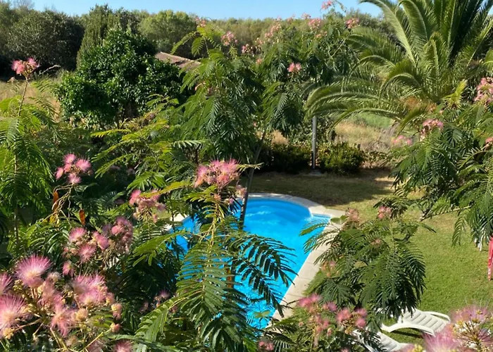 Higueras Y Olivos 펜션 *