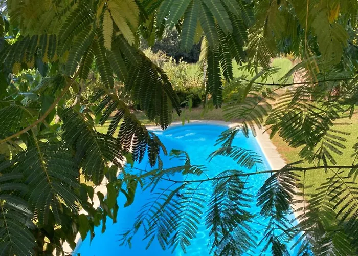 Higueras Y Olivos * 칸델레다