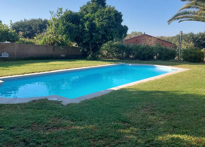 Higueras Y Olivos * 칸델레다